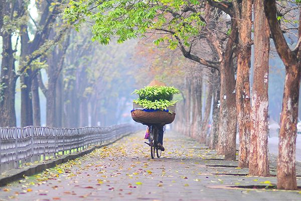 Vé máy bay đi Hà Nội giá bao nhiêu?