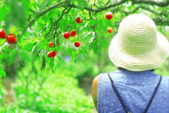 Săn vé máy bay giá rẻ tháng 5