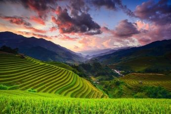 Săn vé máy bay giá rẻ tháng 8