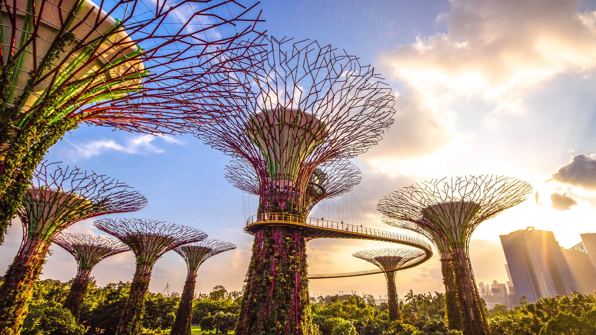 Gardens by the Bay - Vườn địa đàng giữa lòng Singapore